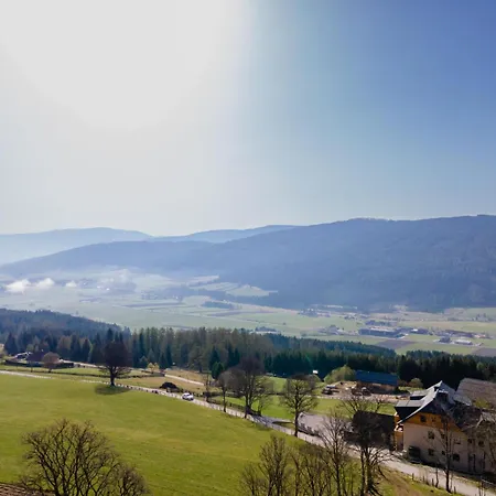 Apartment Laerchenhof 01 Mauterndorf (Salzburg)
